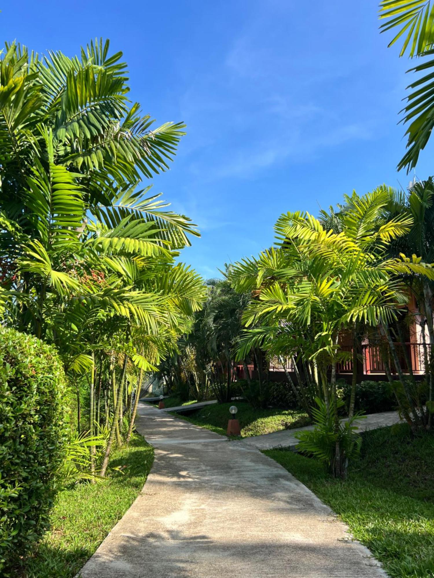 Palm Kiri Aonang Resort Ao Nang Ngoại thất bức ảnh